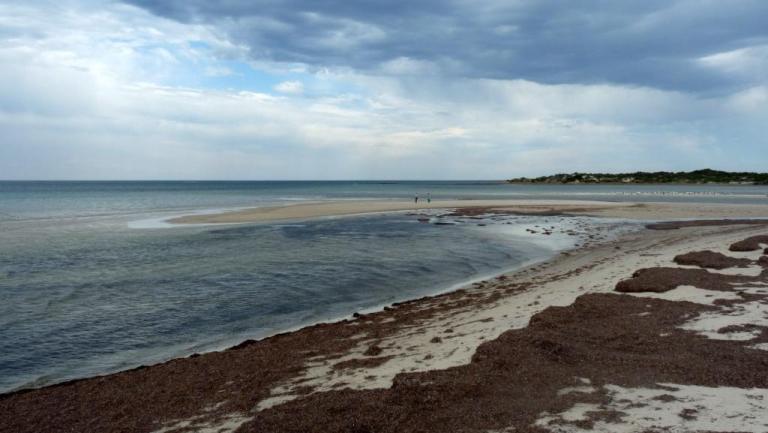 Strand bei Arno Bay